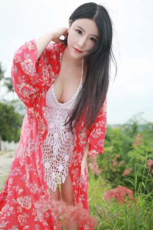 免费电视剧狂飙