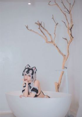 电影在线观看网